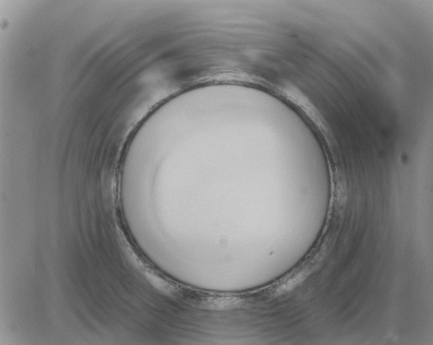 X0000081301282200701251709