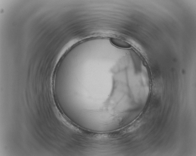 X0000081301283200701251709