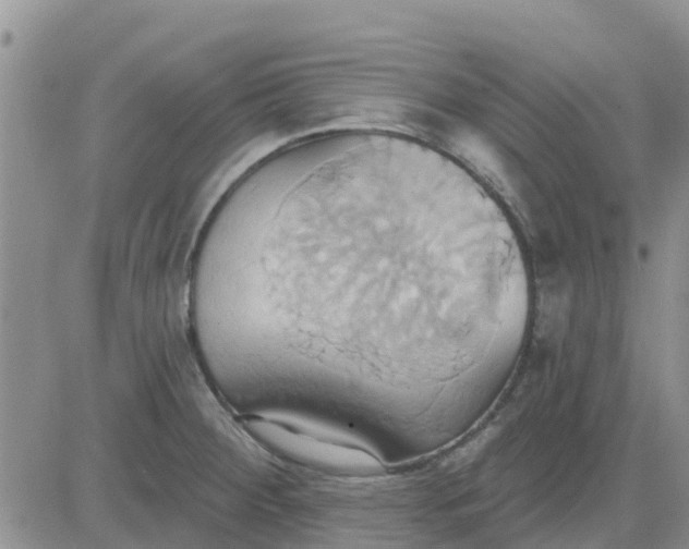 X0000081301284200701251708