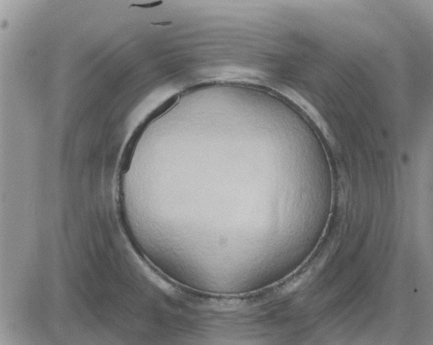 X0000081301285200701251708