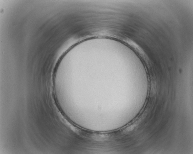 X0000081301286200701251708