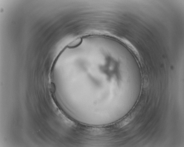 X0000081301287200701251708