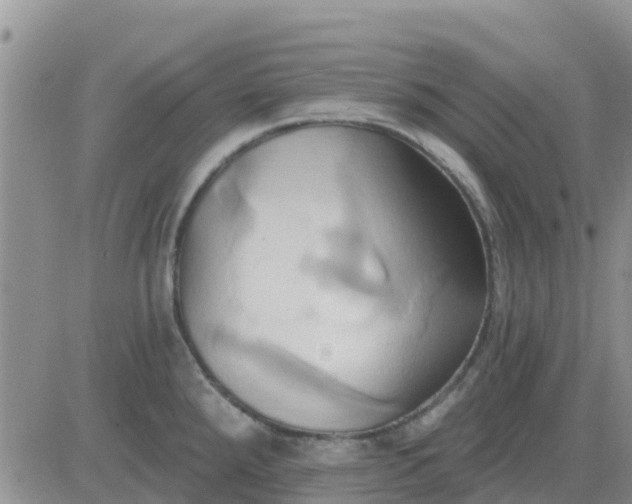 X0000081301288200701251708