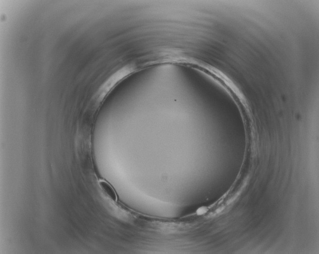 X0000081301289200701251708