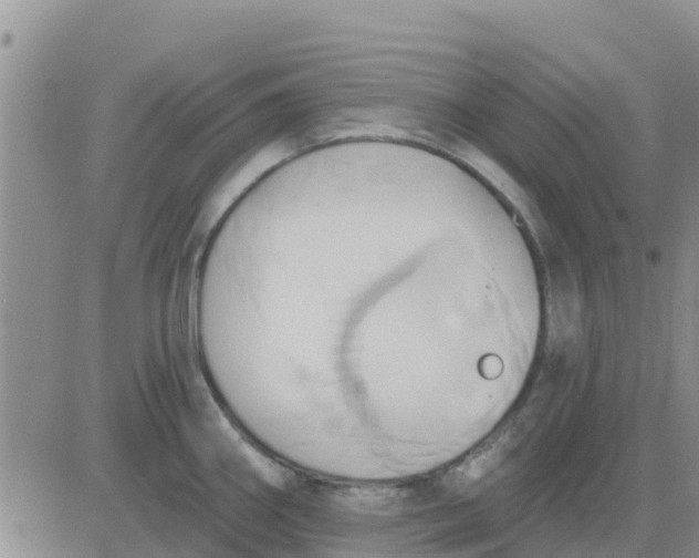 X0000081301290200701251708