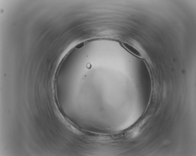 X0000081301291200701251708