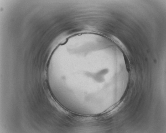 X0000081301292200701251708