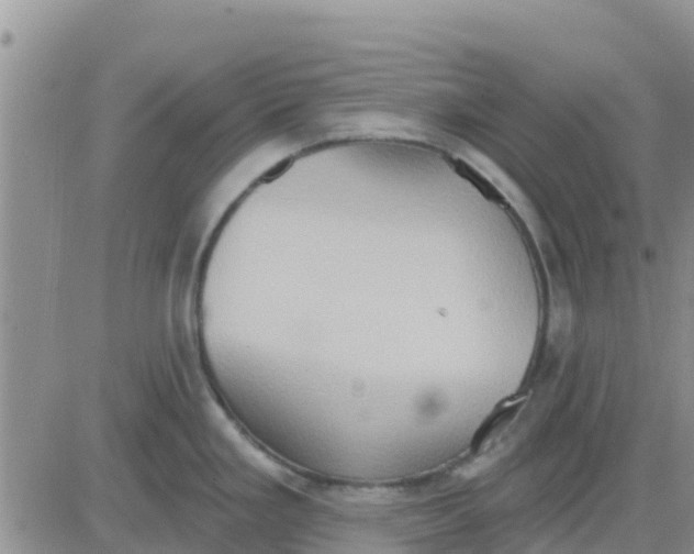 X0000081301293200701251708