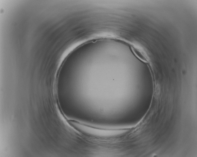 X0000081301295200701251708