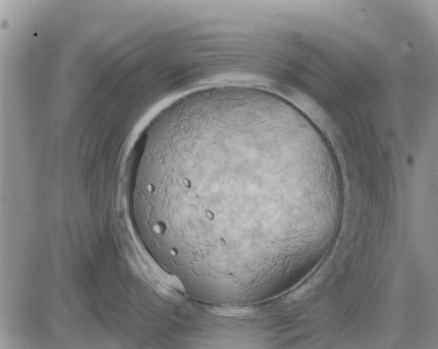 X0000081301296200701251708