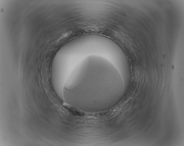 X0000081301297200701251708