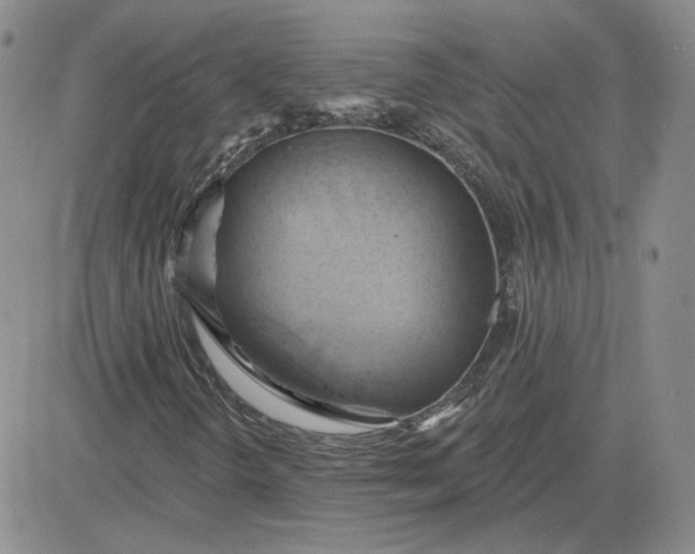 X0000081301298200701251708