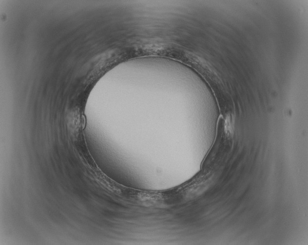 X0000081301299200701251708