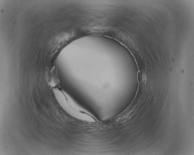 X0000081301300200701251708