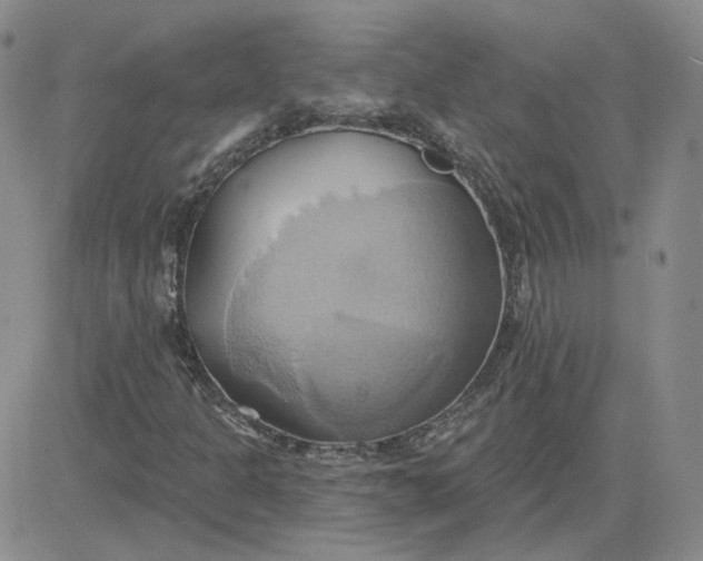 X0000081301301200701251708