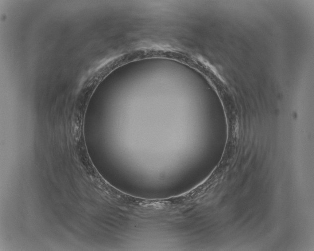 X0000081301303200701251708