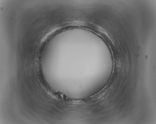 X0000081301304200701251708