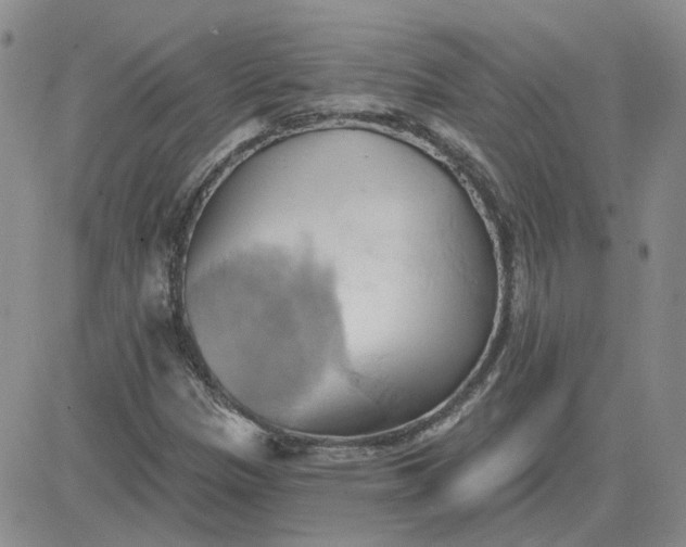 X0000081301305200701251708