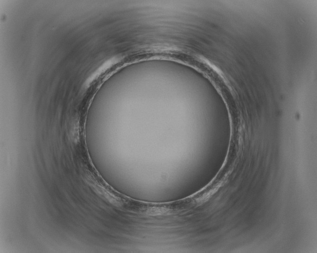 X0000081301306200701251708