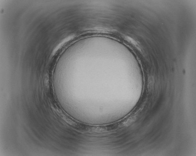 X0000081301307200701251708