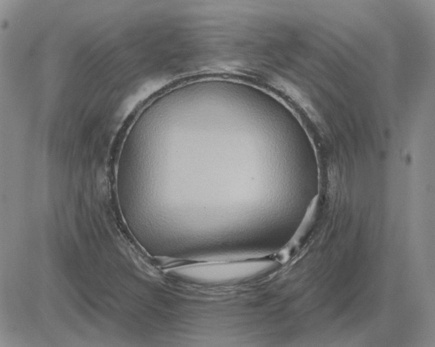 X0000081301308200701251708