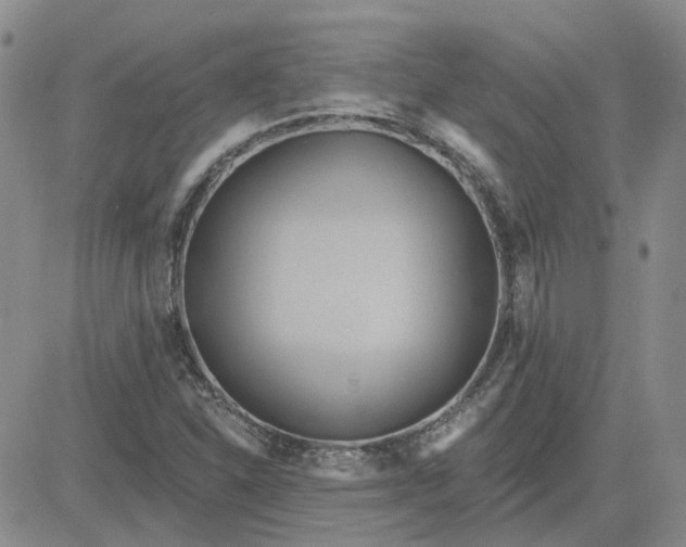 X0000081301310200701251708