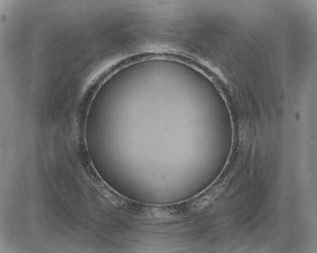 X0000081301311200701251708