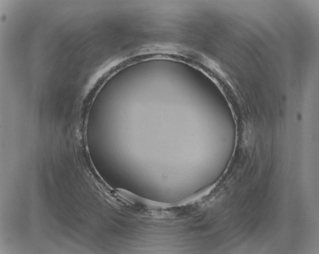 X0000081301312200701251708