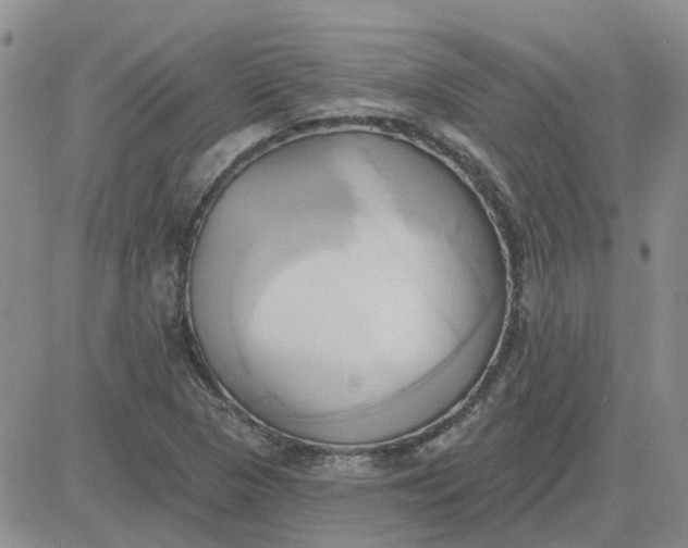 X0000081301313200701251708