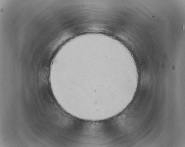 X0000081301314200701251708