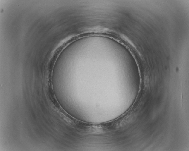 X0000081301315200701251708