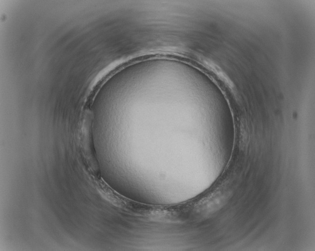 X0000081301316200701251708