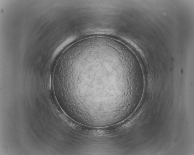 X0000081301317200701251708