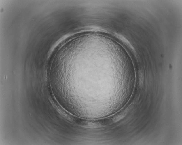 X0000081301318200701251708