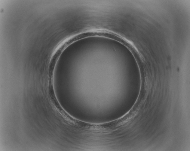 X0000081301319200701251708