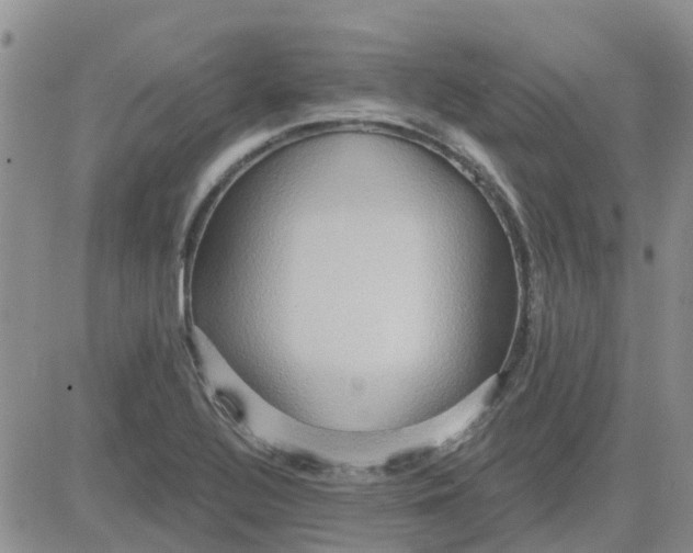 X0000081301320200701251708