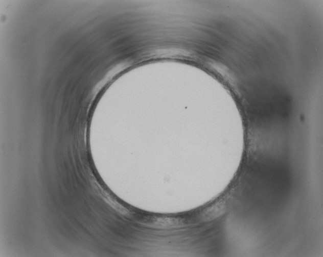 X0000081301322200701251708