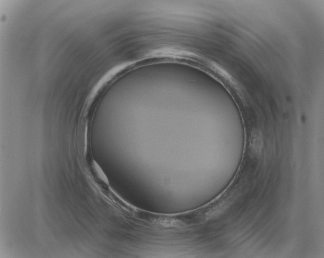 X0000081301323200701251708