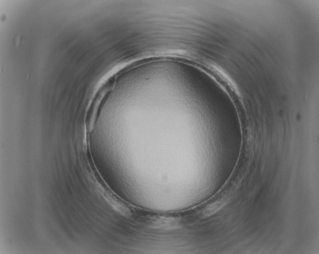 X0000081301324200701251708