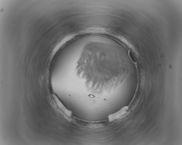 X0000081301325200701251708