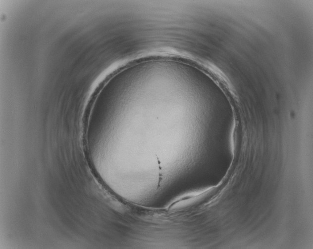 X0000081301326200701251708