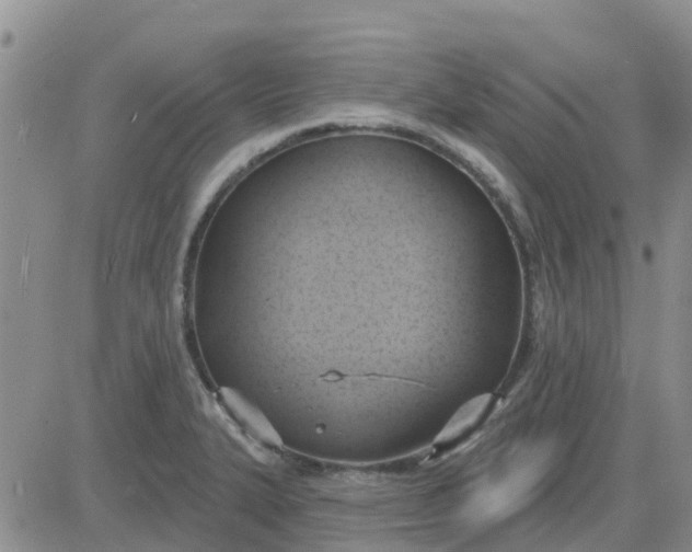 X0000081301327200701251708