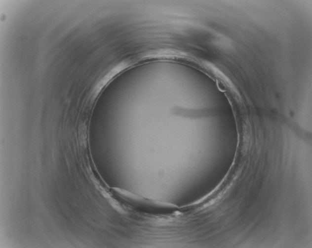 X0000081301329200701251708