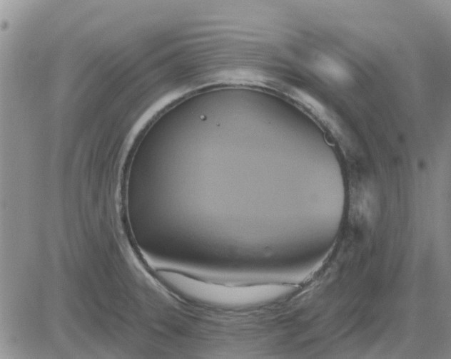 X0000081301331200701251708