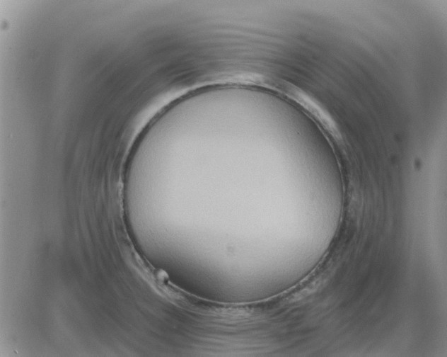 X0000081301332200701251708