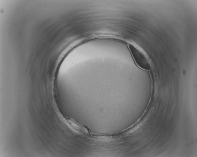 X0000081301333200701251708