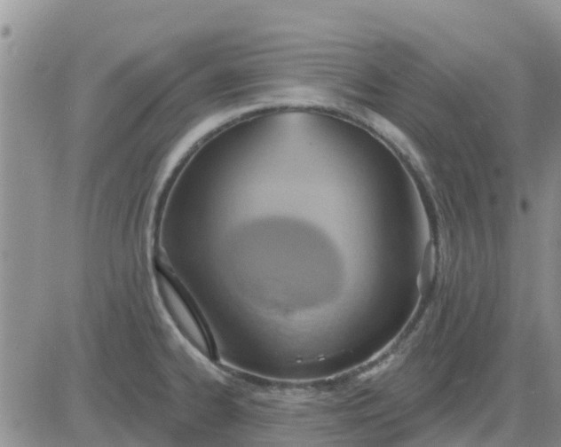 X0000081301334200701251708