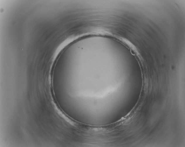 X0000081301335200701251708