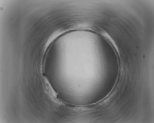 X0000081301336200701251708