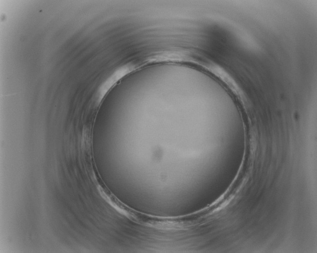 X0000081301337200701251708